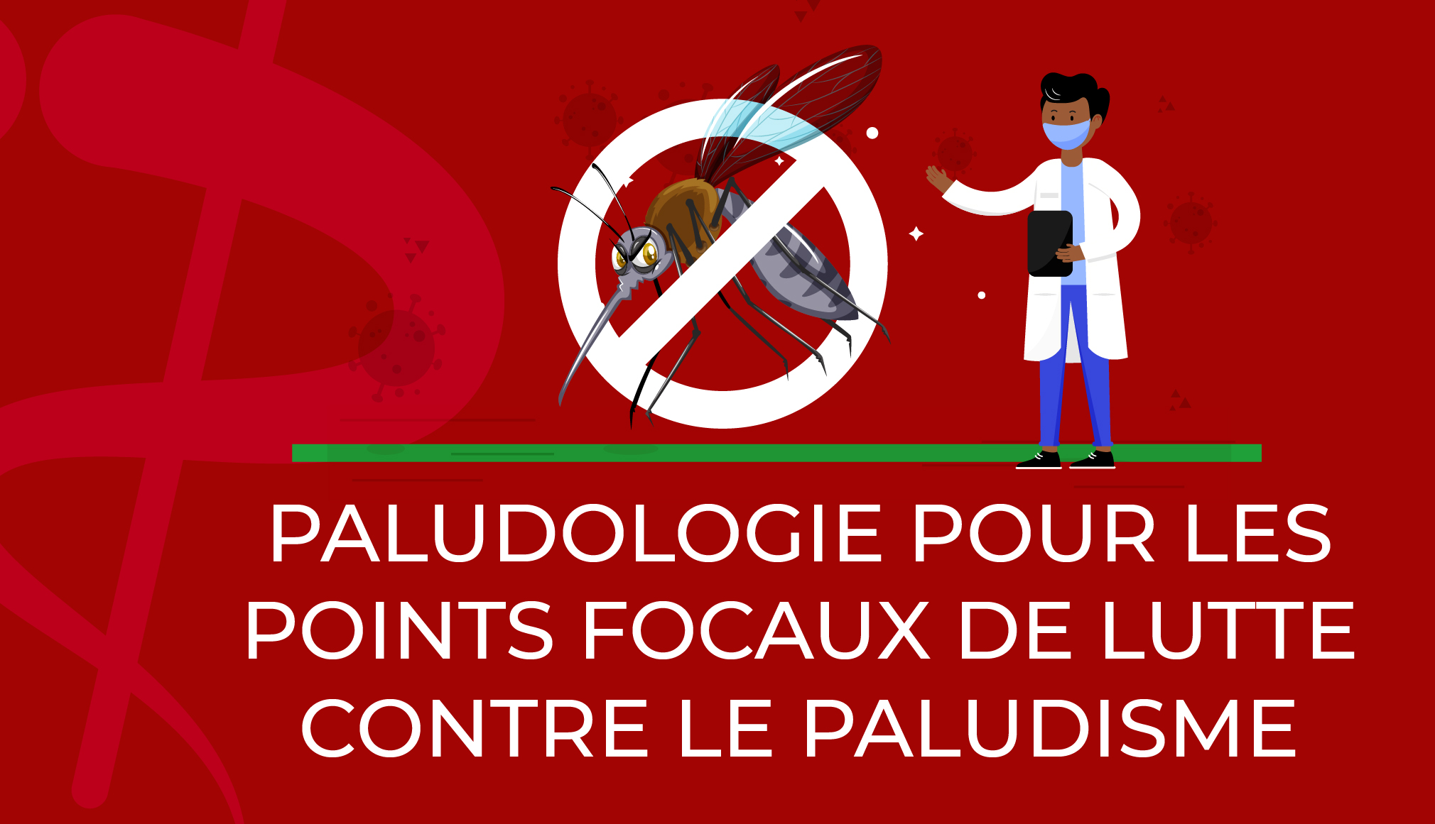 Lutte contre le paludisme